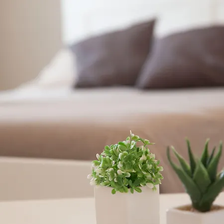 Bianco Sale Trapani Rilievo